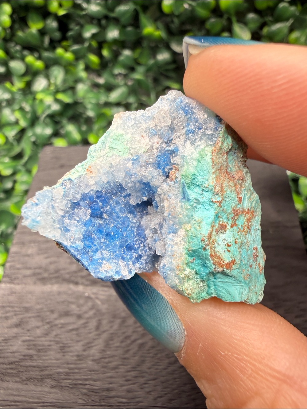 Shattuckite Crystal Specimen with Display Case